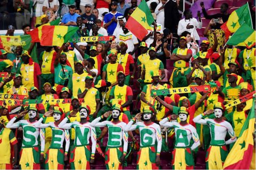 Tribune colorées au couleurs du sénégal, supporters du sénégal