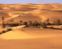 Une image du désert du Sahara au Maroc.