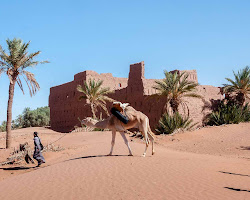 Une image de M'hamid El Ghizlane au Maroc.