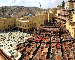 Une image de Fès tanneries.